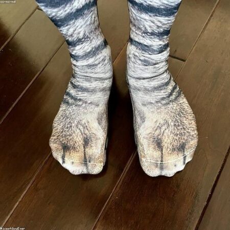 Cotton T-Shirt Classic