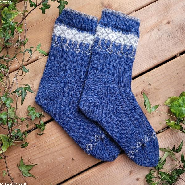 Zip Hoodie Fleece Lined Pro