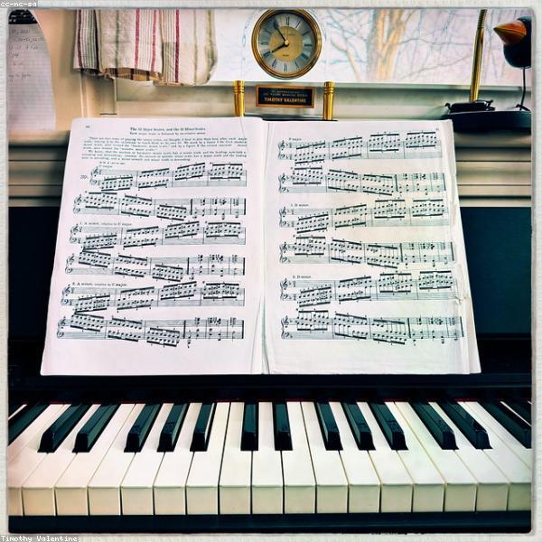 Car Phone Mount Magnetic XL