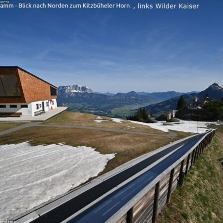 Surge Protector Power Strip Premium