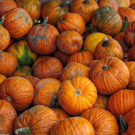 Washi Tape Set Decorative V2