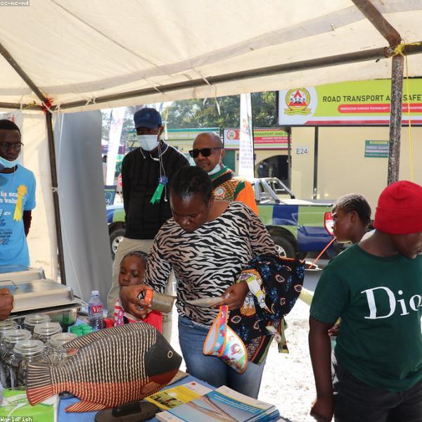 Cotton T-Shirt Classic Mini