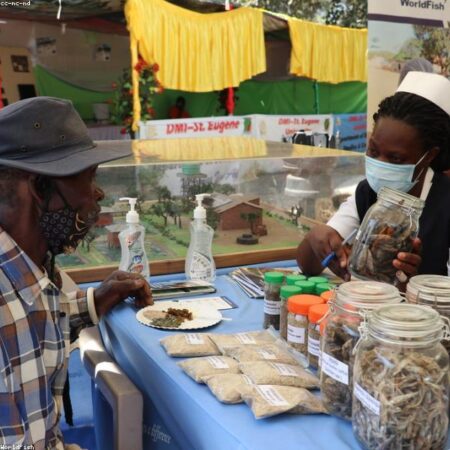 Baseball Cap Adjustable Premium