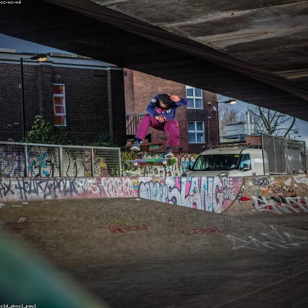 Polo Shirt Cotton Pique